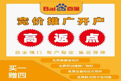 成功企业的SEM竞价优化经验与启示