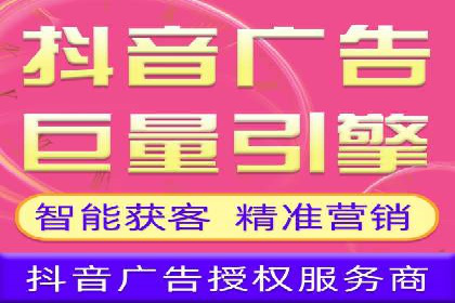 谷歌SEM案例研究：数据分析与效果评估